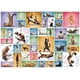 thumbnail image 4 of Rompecabezas EuroGraphics Gatos Yoga 1000 Piezas 49x67 cm, 4 of 5