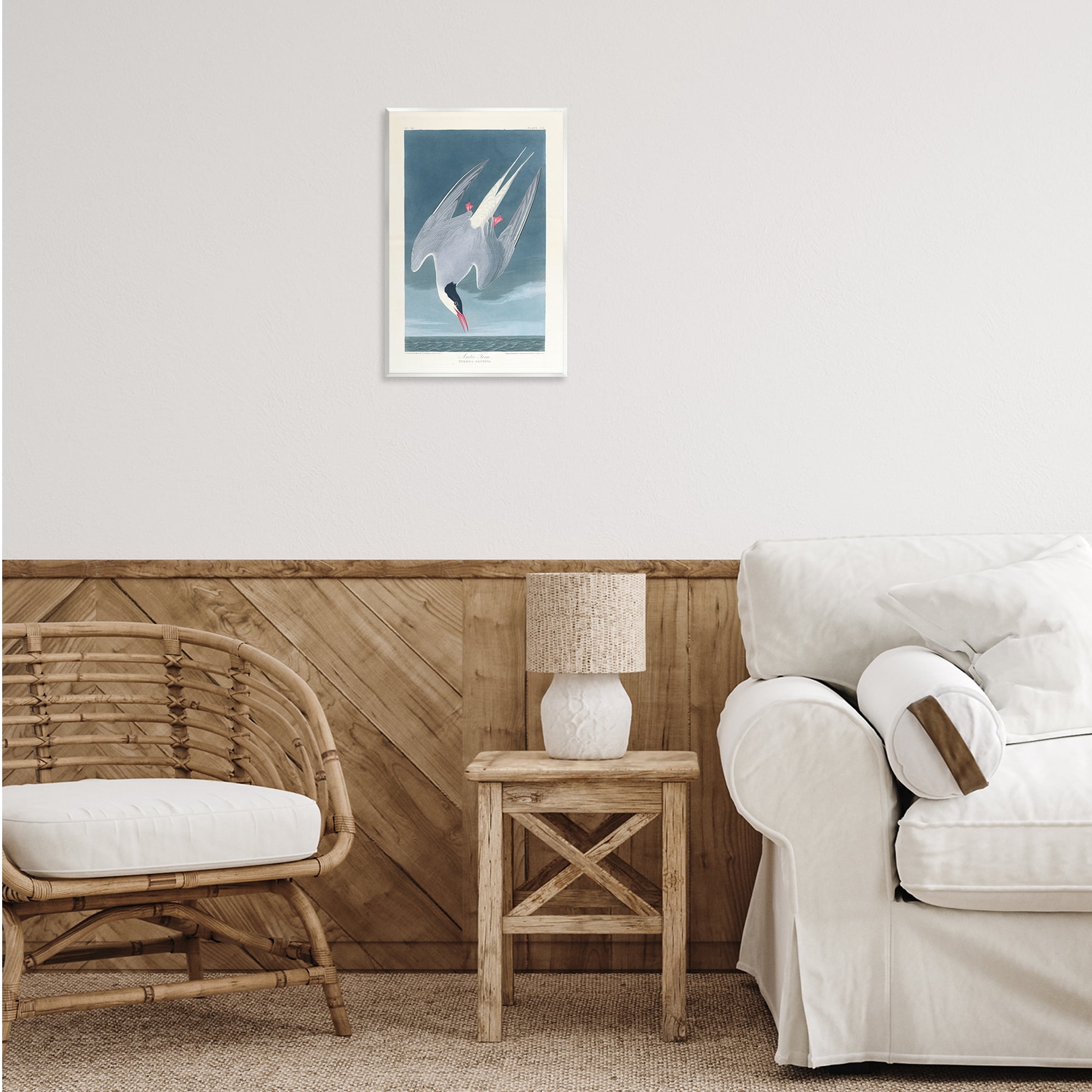 Stupell Industries Classic Arctic Tern Bird Animals Painting Unframed Art Print Wall Art, 13 x 19