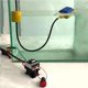 thumbnail image 5 of Matsuzay Interruptor de nivel de agua, suministro de bombeo de tanque, controlador de fluido de 12V-250V, Sensor de Contactor resistente al Jardín y Patio, 5 of 6
