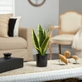 thumbnail image 4 of Nearly Natural 14in. Sansevieria Plastic Artificial Plant, Green, 4 of 4