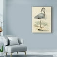 thumbnail image 3 of Trademark Fine Art 'Antique Heron IV' Canvas Art by Unknown, 3 of 4