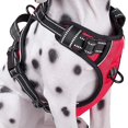 thumbnail image 3 of Reflective Dog Harness, No Pull Pet Vest with Enhanced Oxford Fabric, Quick Release Buckle for Easy On-Off, Adjustable Straps, Soft Padding for Comfort, Breathable Mesh for Medium, 3 of 5