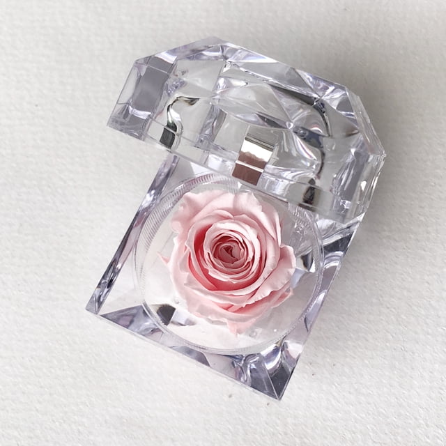Mini rosa preservada Mina’an-flor eterna en cajita de regalo color Baby Pink