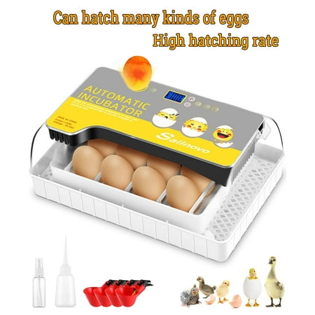 12-24 Eggs Automatic Incubator with Temperature Control and Automatic Egg Turning Function