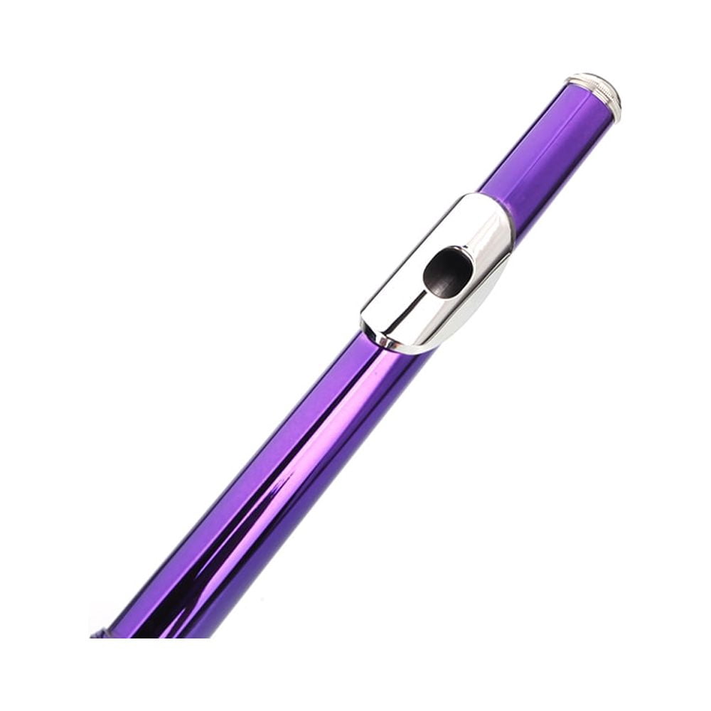 Cupronickel C 16 Closed Holes Concert Band Flute Purple
