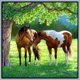 thumbnail image 3 of Resina Con Forma Caballo Diamante 30x30CM Z1124, 3 of 9
