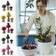 thumbnail image 1 of Ganfancp Arreglo Floral de Madera, Bonsái, Planta En Maceta, Musgo, Paisaje, Pequeños Adornos, Plantas Suculentas, Decoración Del Hogar, Pequeños Adornos Artículos En Liquidación Colgante Seta*3, 1 of 1