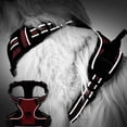 thumbnail image 3 of No Pull Dog Harness, Adjustable Reflective Front Clip Pet Vest with Easy Control Handle Red XL, 3 of 8