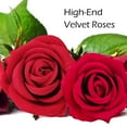 thumbnail image 4 of Ocervd 15 Pcs Velvet Rose Artificial Flowers with Long Stems, Real Touch Fake Roses Florals for Valentine's DIY Wedding Bouquet Party Table Centerpiece Home Arrangement Decorations, 4 of 9