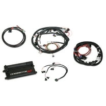 Holley EFI 550-658 Dominator EFI Kit - LS2 Main Harness with Trans Control and EV1 Injector Harness