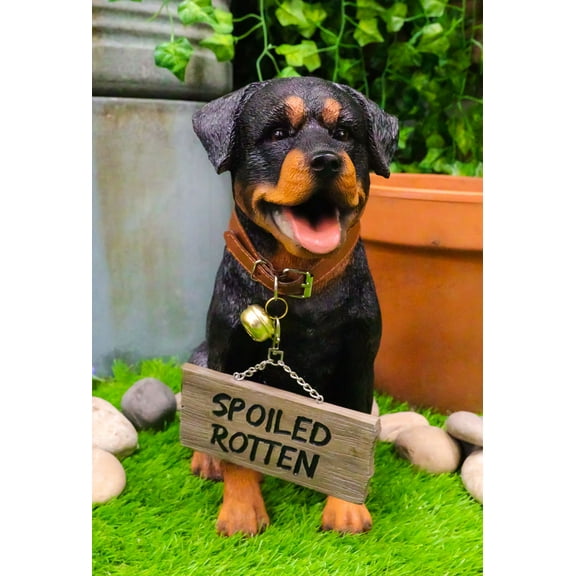 Guest Welcome Realistic Rottweiler Dog With Jingle Collar Sign Decor Statue 13"H