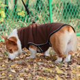 thumbnail image 3 of Abrigo para perros Yuyangstore Ropa de invierno forro elegante a prueba de viento Marrón M Ropa para perros de invierno, 3 of 8