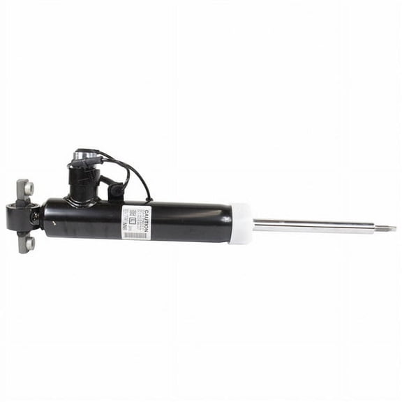SHOCK ABSORBER ASY (P)