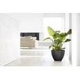 thumbnail image 3 of Ecopots Antwerp Durable Modern Round Indoor/Outdoor Recycled Based Composite Flower Pot Planter, Dark Grey, 12", 3 of 4