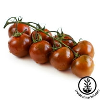 Tomato Garden Seeds - Chocolate Cherry - 250 mg - Non-GMO, Vegetable Gardening Seed