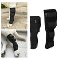 thumbnail image 1 of Soporte para Piernas Salvador Funda Protectora para Perros Prot Negro M XL, 1 of 10
