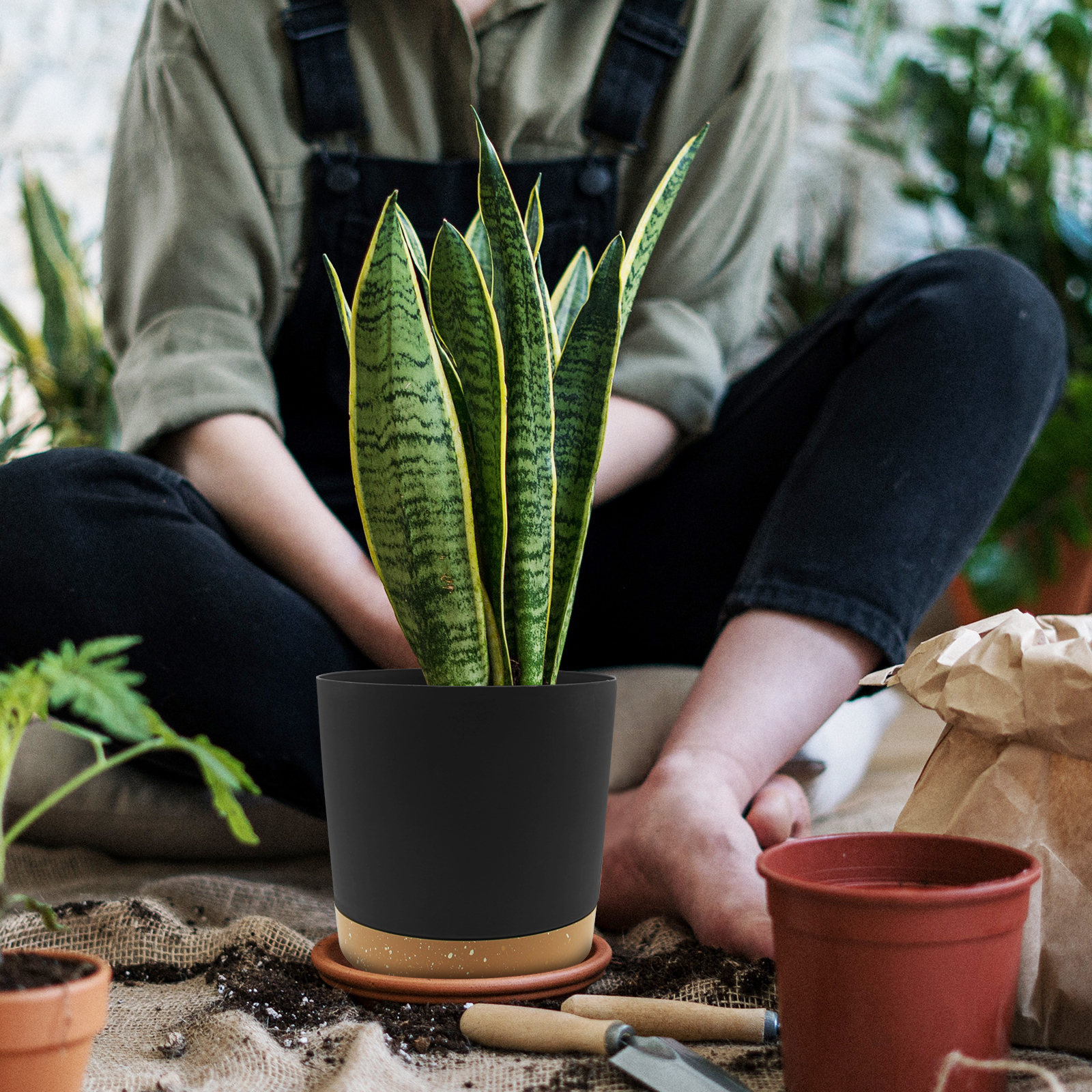 QCQHDU 6.5 Inch Black Plastic Plant Pots, 2 Pack photo 6