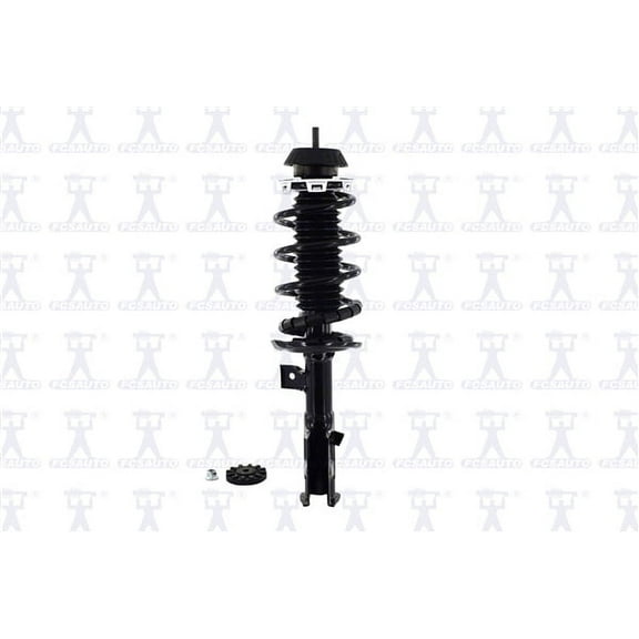 Suspension Strut and Coil Spring Assembly