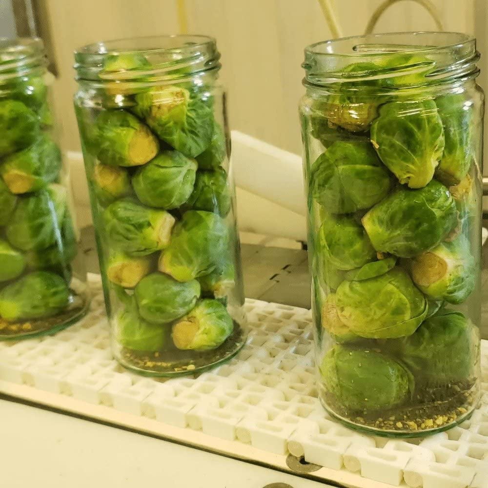 Foster’s Pickled Brussel Sprouts- Original- 16oz (2 Pack)- Pickled Brussels are Fresh, Gluten Free, Fat Free and Preservative Free - Brussels From a Traditional, Organic, Pickled Vegetable Recipe
