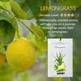 thumbnail image 5 of MYARO 12 Packs Closet Air Freshener, Deodorizer Flower Long-Lasting Scented Sachets Bags for Drawer Closets, Wardrobes and Bedrooms, Car Scent, 5 of 6