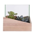 thumbnail image 3 of Vickerman FH180801 6 x 6 x 6 Po. Assortiment de Succulentes en Bois et Verre, 3 of 5