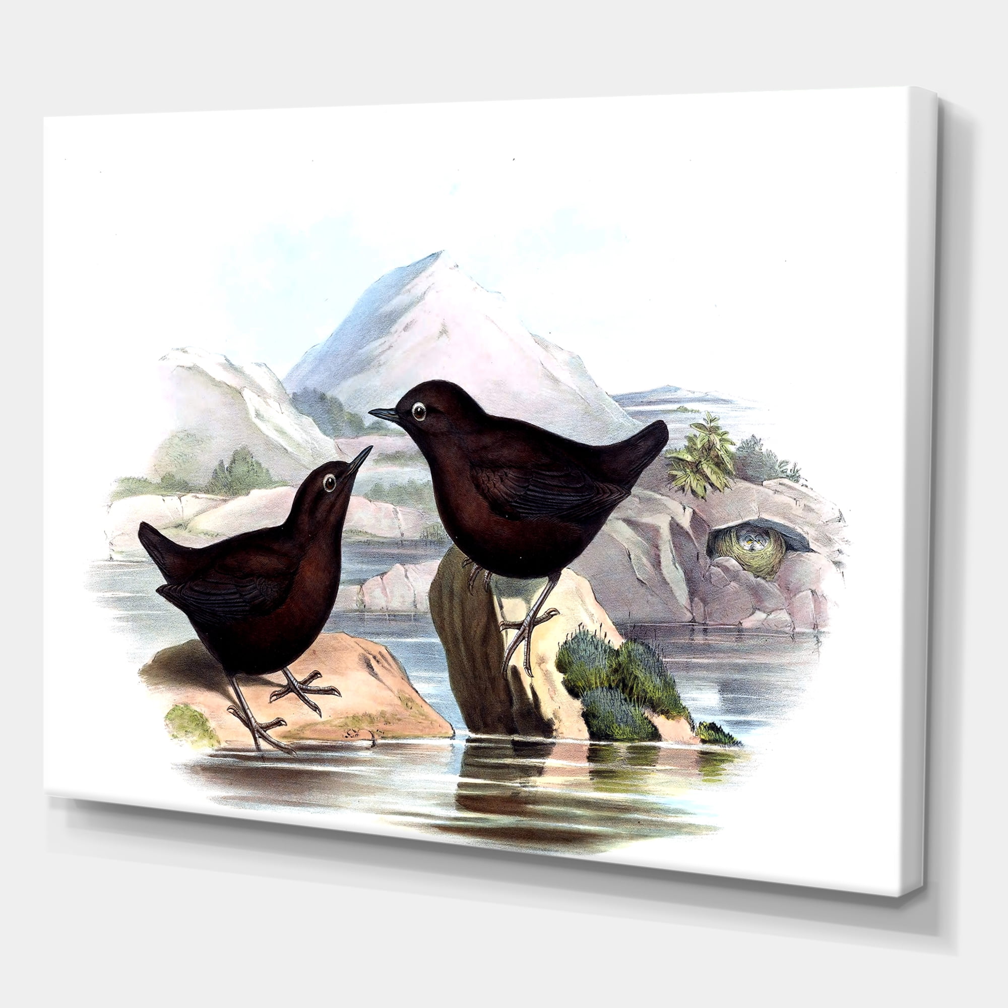 Designart ' Vintage Countryside Two Birds ' Farmhouse Canvas Wall Art Print