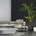 thumbnail image 2 of Vintage Home VHX133204 66 in. Tall Banana Tree with Burlap Kit & Fiberstone Planter, 2 of 3