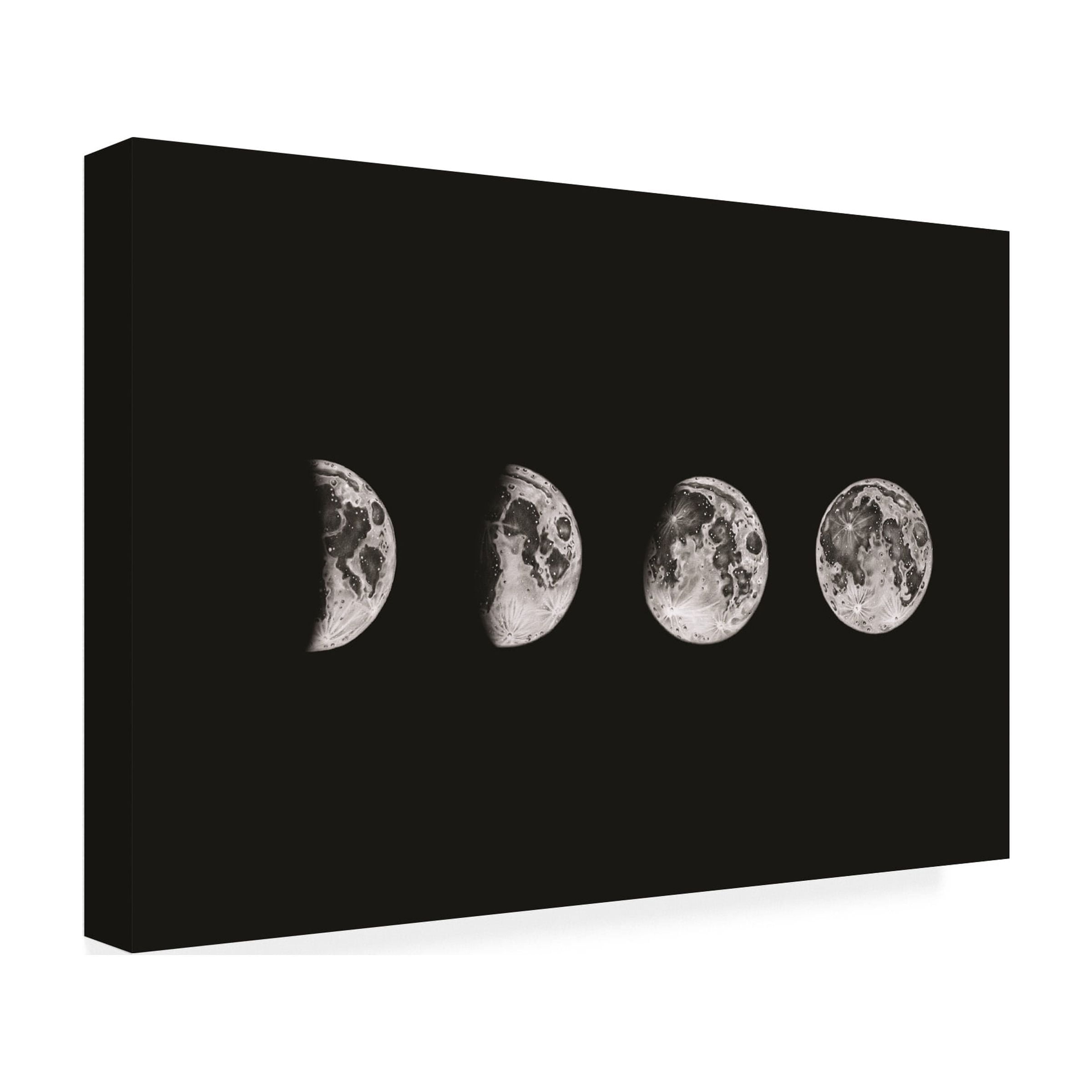 jay stanley 'Lunar Phases' Canvas Art