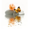 thumbnail image 2 of Papillon Galet Wall Mural by Wallmonkeys Peel and Stick Graphic (48 in H x 42 in W) WM24171, 2 of 4