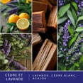 thumbnail image 3 of Cubes de cire parfumée ScentSationals - Cedar & Lavender, 3 of 5