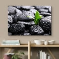 thumbnail image 2 of wall26 Canvas Print Wall Art Raindrops on Black Rocks with Sprouting Plant Floral Nature Photography Realism Bohemian Scenic Relax/Calm Cool for Living Room, Bedroom, Office - 24"x36", 2 of 5