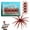 Brownish Red, variant on 4PCS Sea ​​urchin Ba