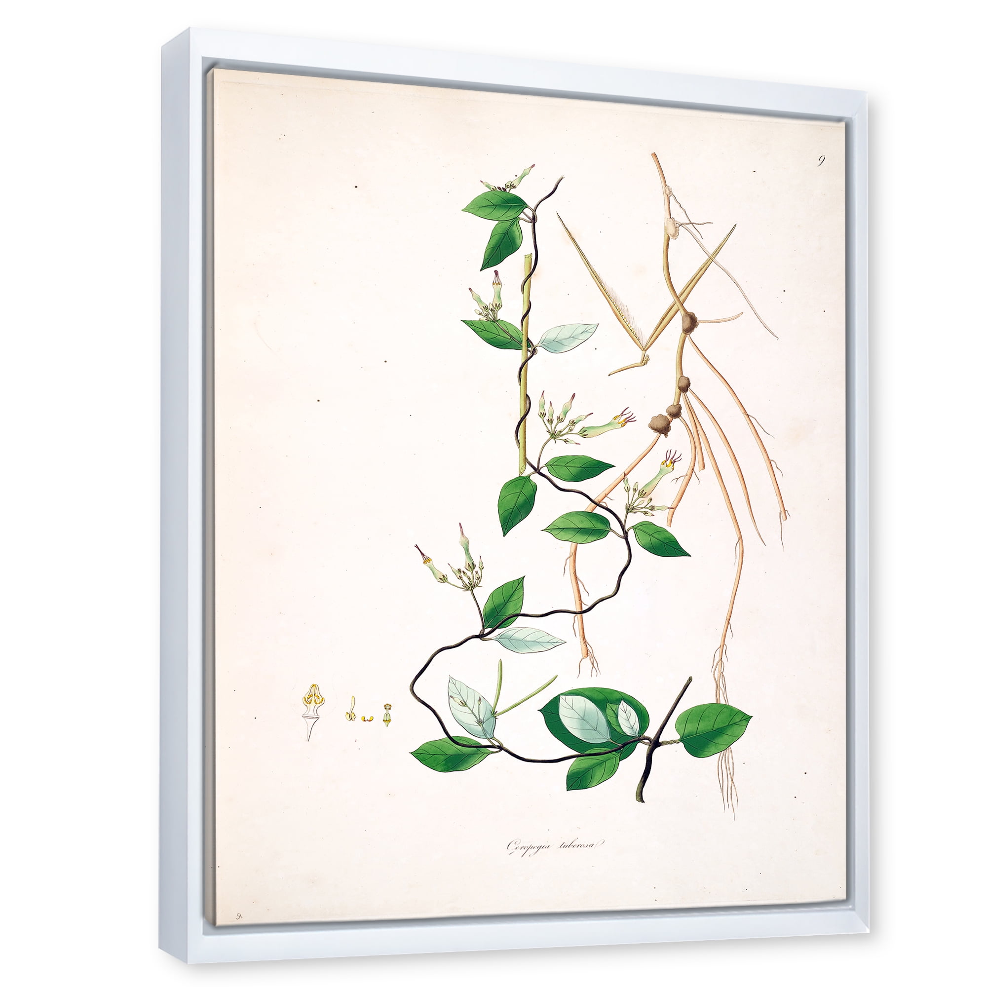 Designart 'Ancient London Plants IV' Farmhouse Framed Canvas Wall Art Print