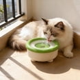 thumbnail image 4 of Automatic Floating Pet Water Bowl for Cats & Dogs | Gentle on Beard, Foolproof to Clean | 1500ml Large Capacity, Dishwasher Safe | Suitable for Small to Medium Pets, 4 of 6