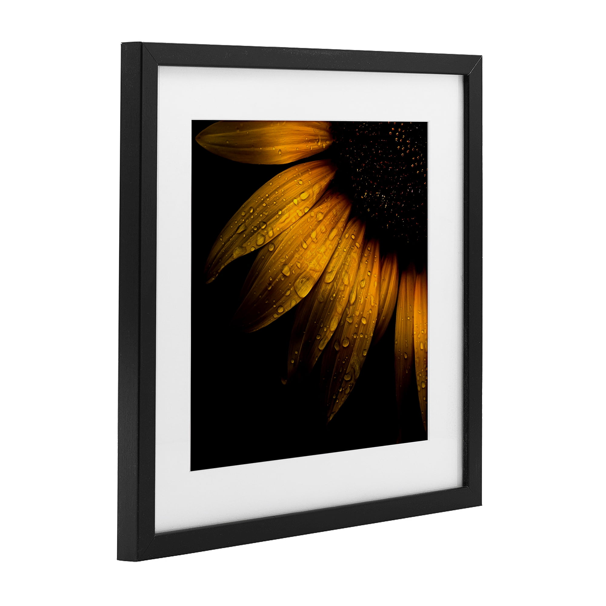 Sunflower Detail with Droplets Black Framed Print Under Glass, design by Brian Carson Photography
