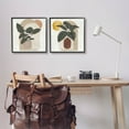 thumbnail image 2 of Potted Plant Leaves Geometric Shapes Botanical & Floral Graphic Art Black Framed Art Print Wall Art, Set of 2, 2 of 8