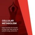 thumbnail image 5 of Protocol for Life Balance L-Carnitine 500 mg - 60 Veg Caps, 5 of 8