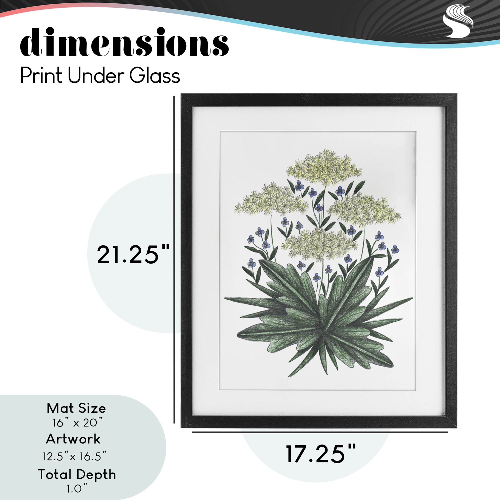 New Roots Vintage Sketch Black Framed Print Under Glass, design by Cecilia Battaini