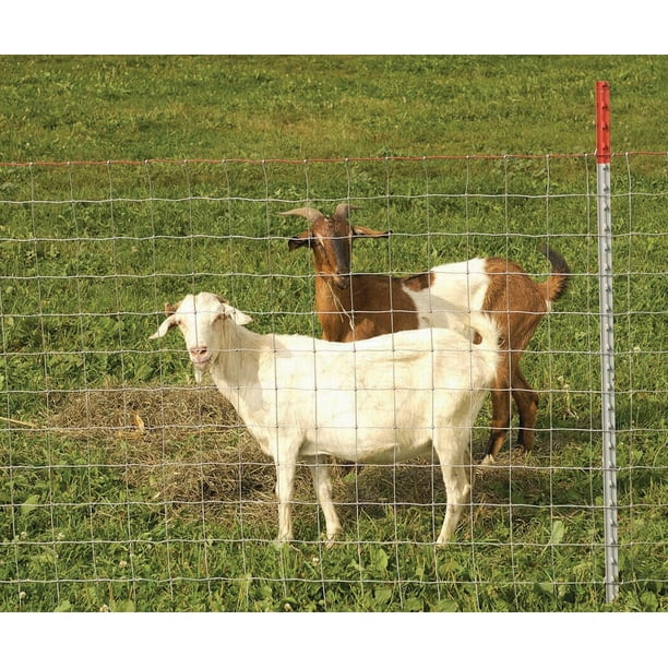 KEYSTONE STEEL & WIRE Sheep & Goat Fencing, Class 1, 48In. x 330Ft