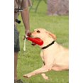 thumbnail image 4 of Lishi Dog Retriever Training Dummy Retrieving Bumpers Pool Toy, 4 of 6