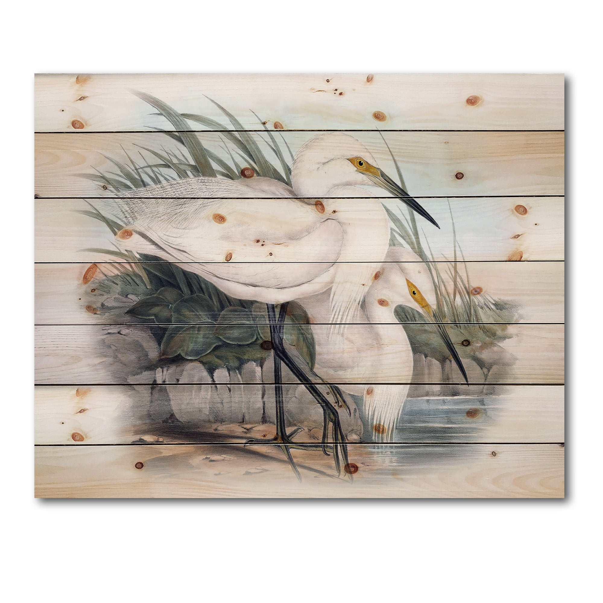 Designart 'Ancient Bird Life I' Traditional Print on Natural Pine Wood