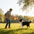 thumbnail image 7 of Calming Jumbo Ball for Dogs | Herding Ball with Tabs | Durable Tear-resistant Inflatable Big Balls | Heavy-Duty Herding Balls with Straps for Dog Agility Equipment Outdoor Play Exercise, 7 of 7