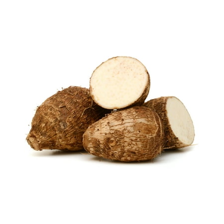 Malanga Root Whole Fresh, Each (Malanga)