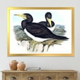 thumbnail image 3 of Designart 'Ancient Australian Birds XII' Traditional Framed Art Print, 3 of 4