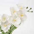 thumbnail image 3 of 13'' Orchids Artificial Flowers Small Potted Silk Phalaenopsis Fake Orchid White Flowers in Silver Ceramic Vase, 3 of 9