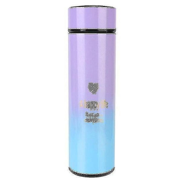 Taza de aislamiento inteligente de 500ml, taza de café con pantalla Digital de temperatura, termos de viaje al aire libre