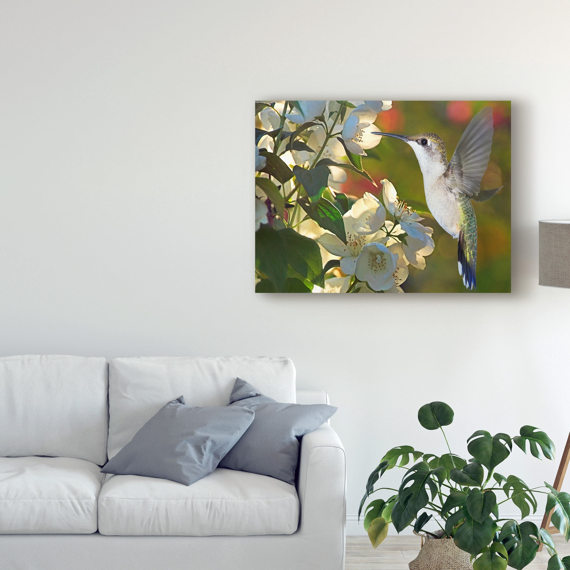 Trademark Fine Art 'The Flower Dance II' Canvas Art by Leda Robertson