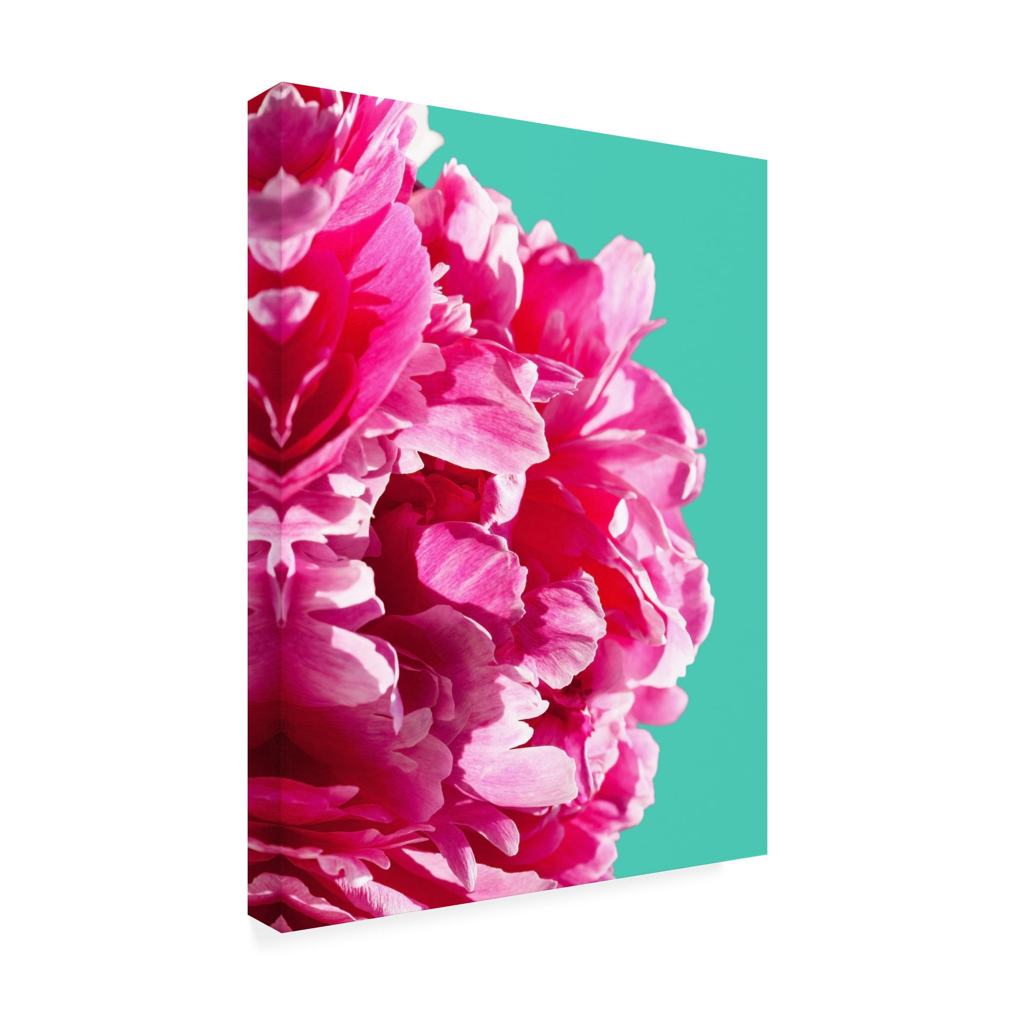 Trademark Fine Art 'Pink Peony On Teal' Canvas Art by Lexie Gree