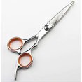 thumbnail image 4 of Tijeras profesionales para cortar el cabello de 6 pulgadas con tijeras de entresacar de barbero, acero inoxidable azul., 4 of 5