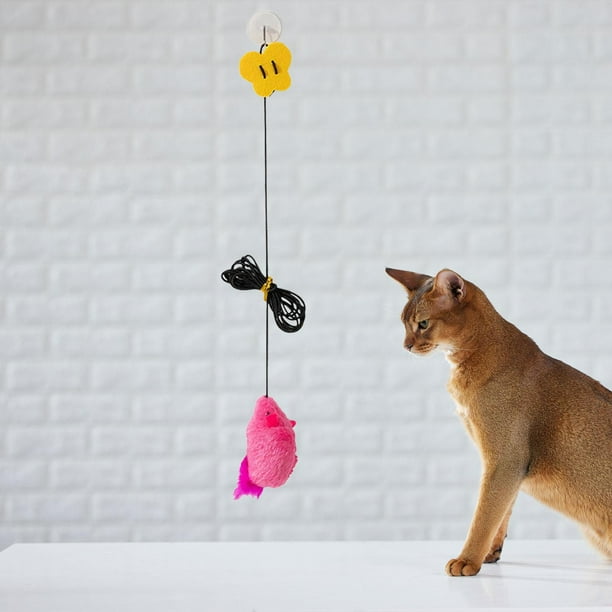 Papel Higiénico Juguetes De Gatos Caseros Hacer Juguetes Caseros